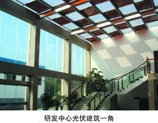 光伏农业 山东光伏大棚如何实现“棚上发电、棚下种菜”？